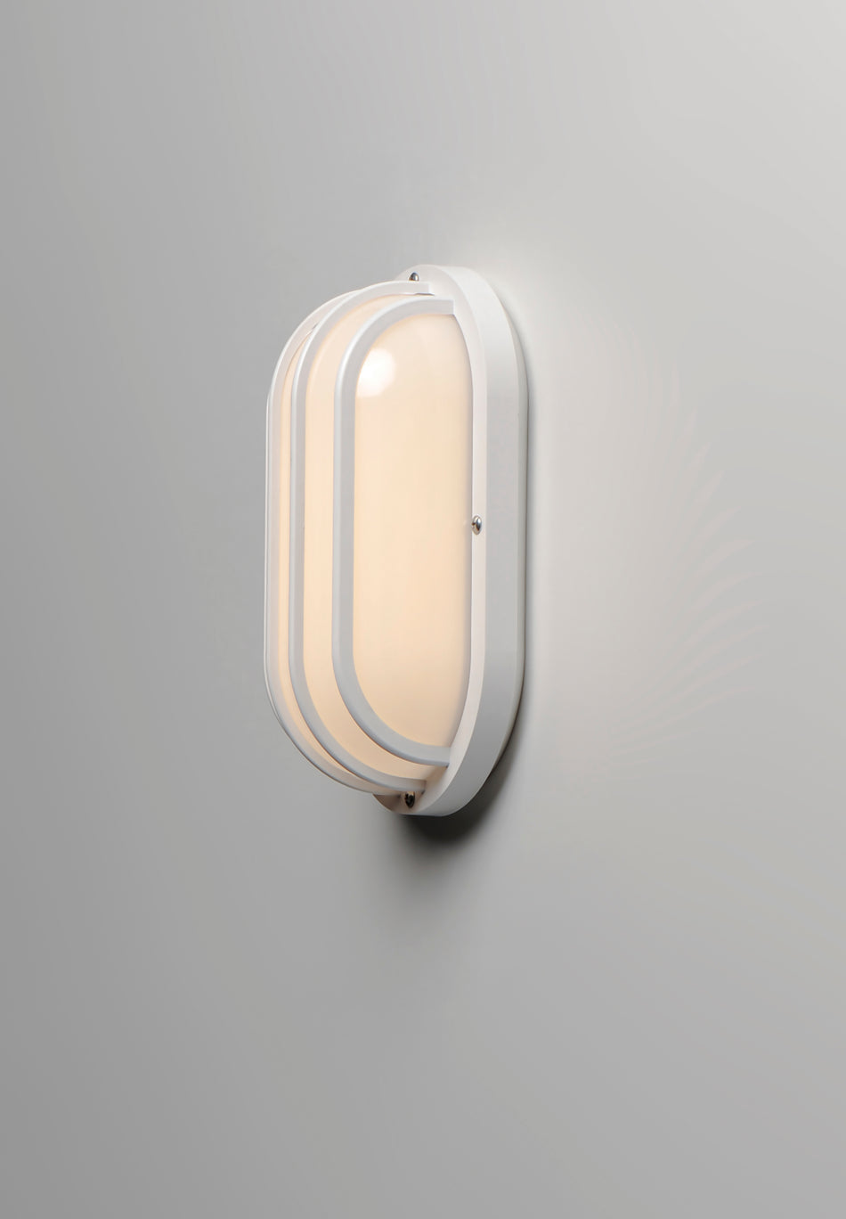 Bulwark 1-Light Outdoor Wall Sconce