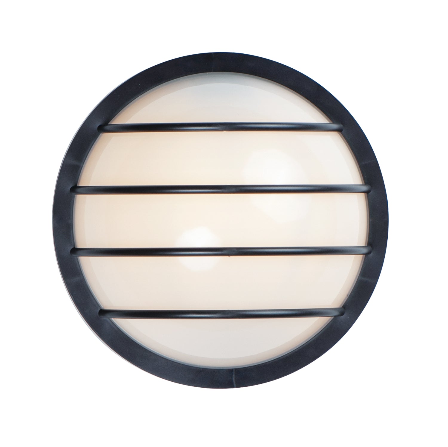 Bulwark 1-Light Outdoor Wall Sconce