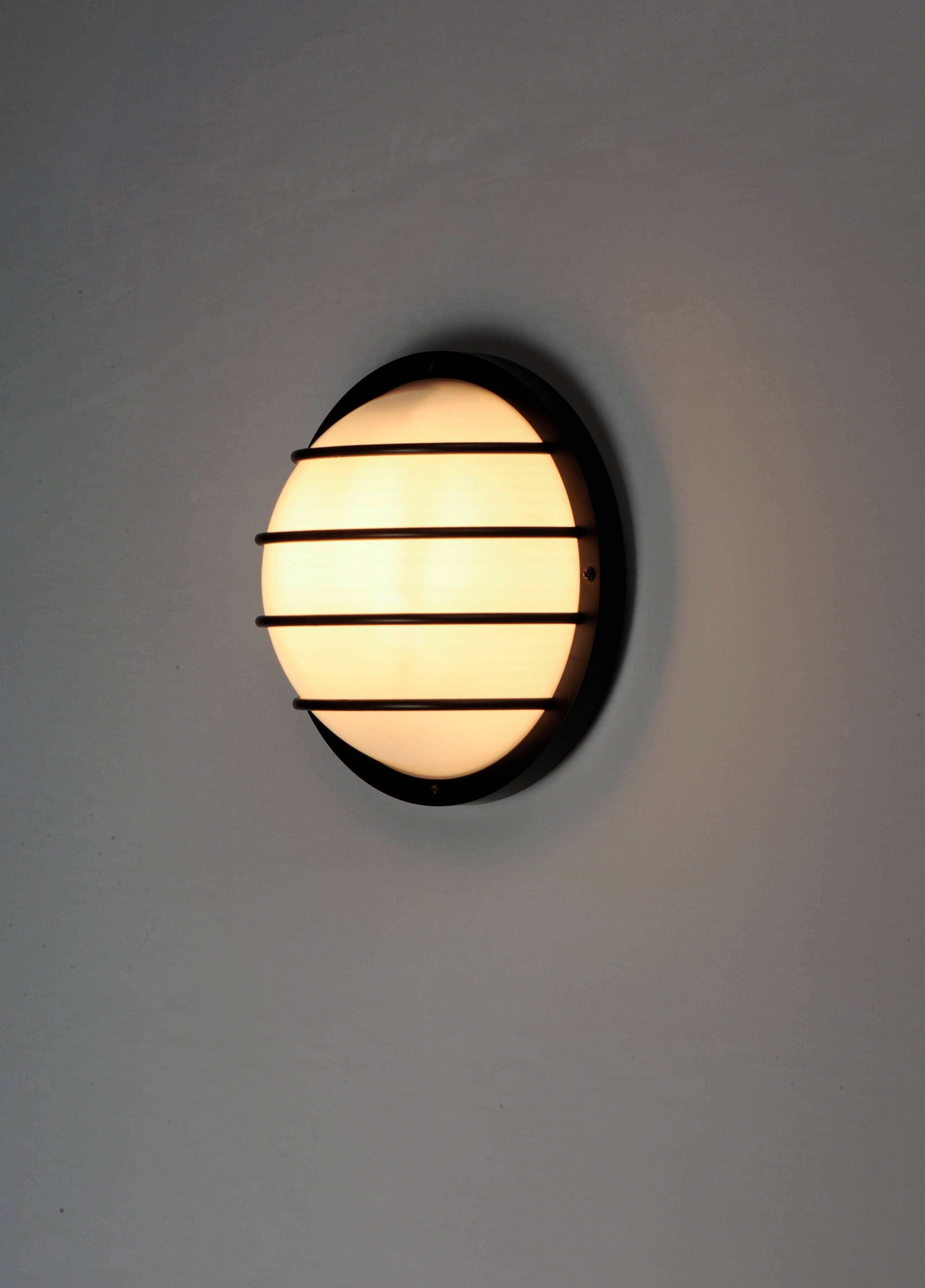 Bulwark 1-Light Outdoor Wall Sconce