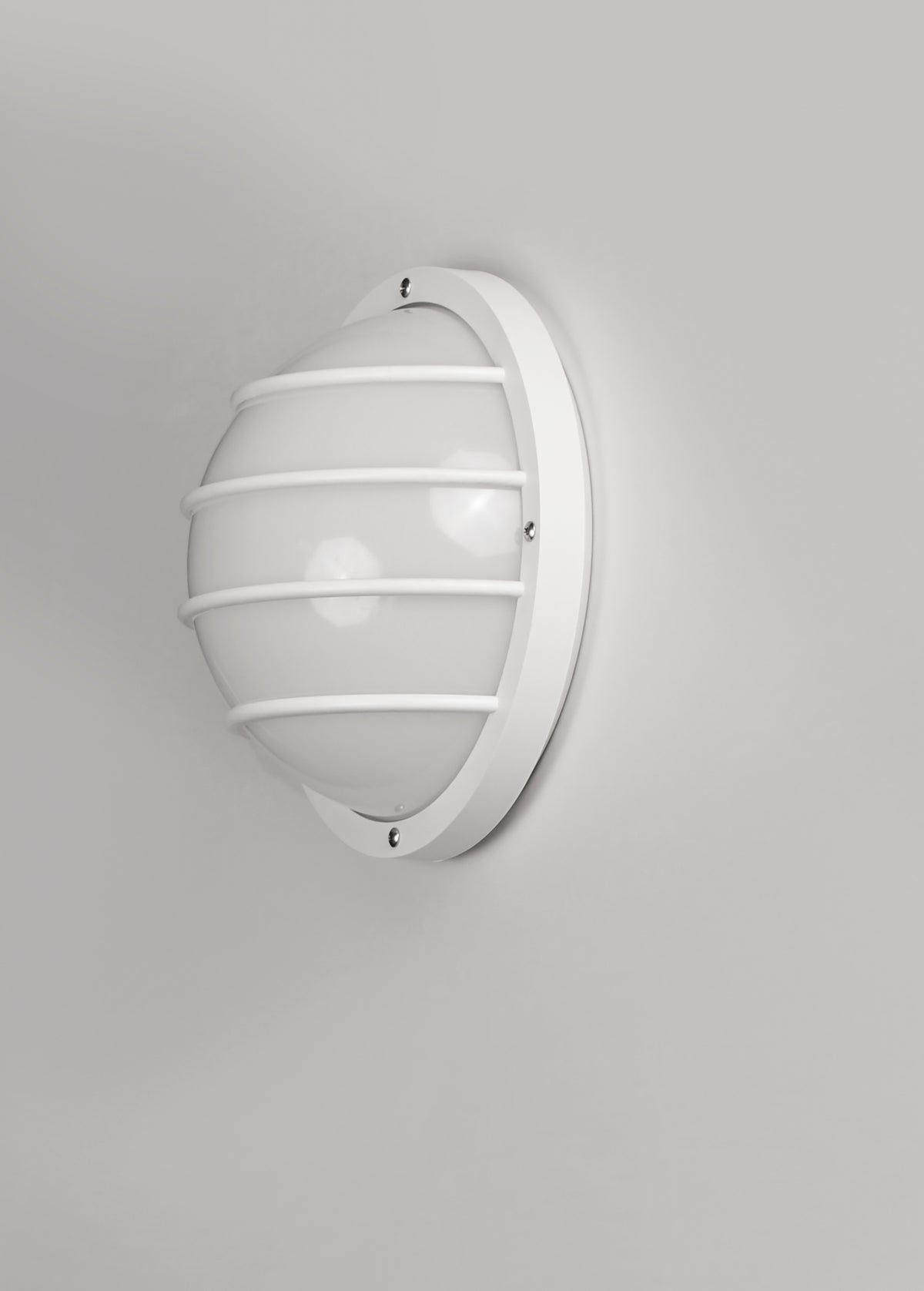 Bulwark 1-Light Outdoor Wall Sconce