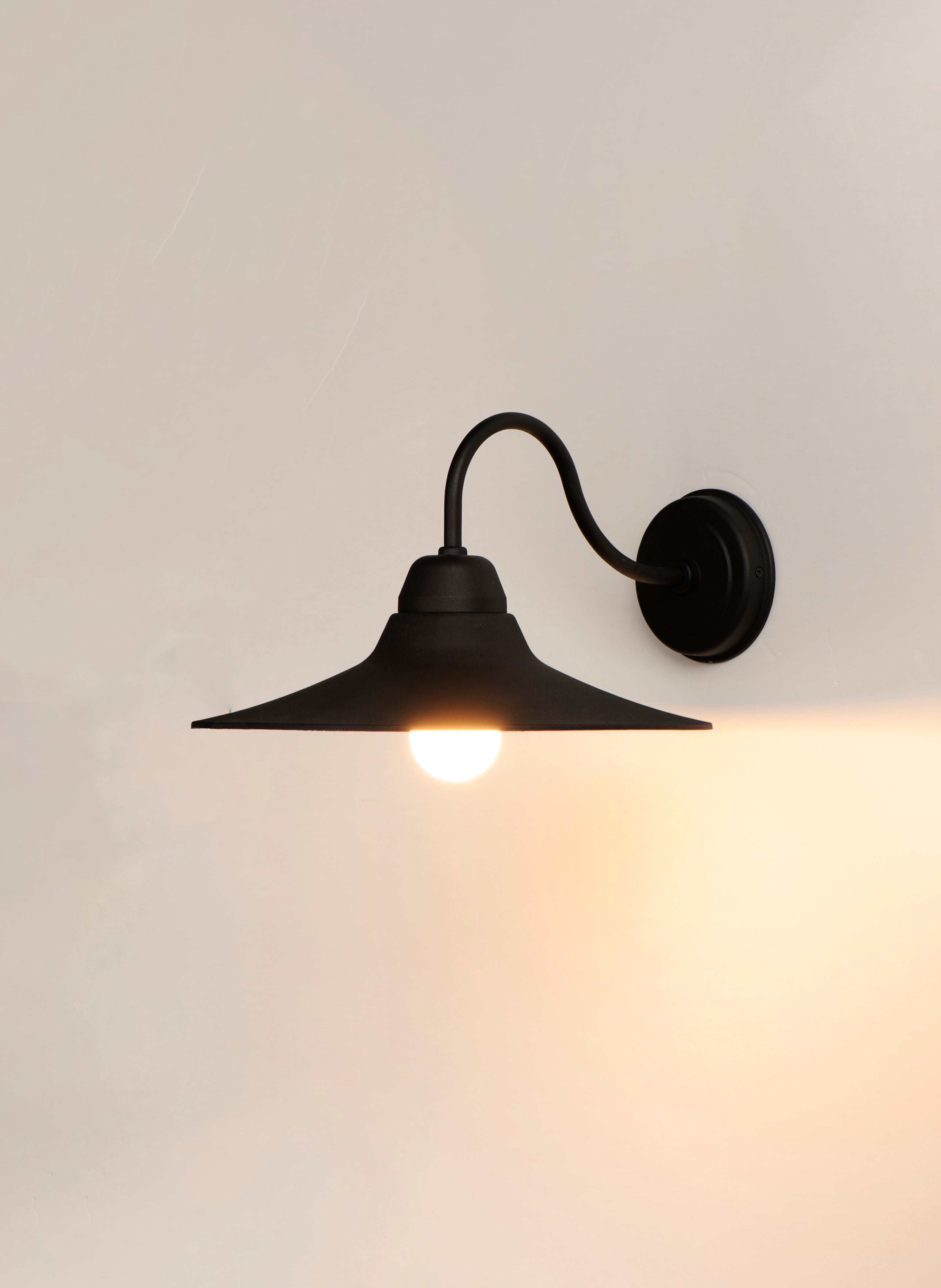 Dockside 1-Light Outdoor Wall Sconce