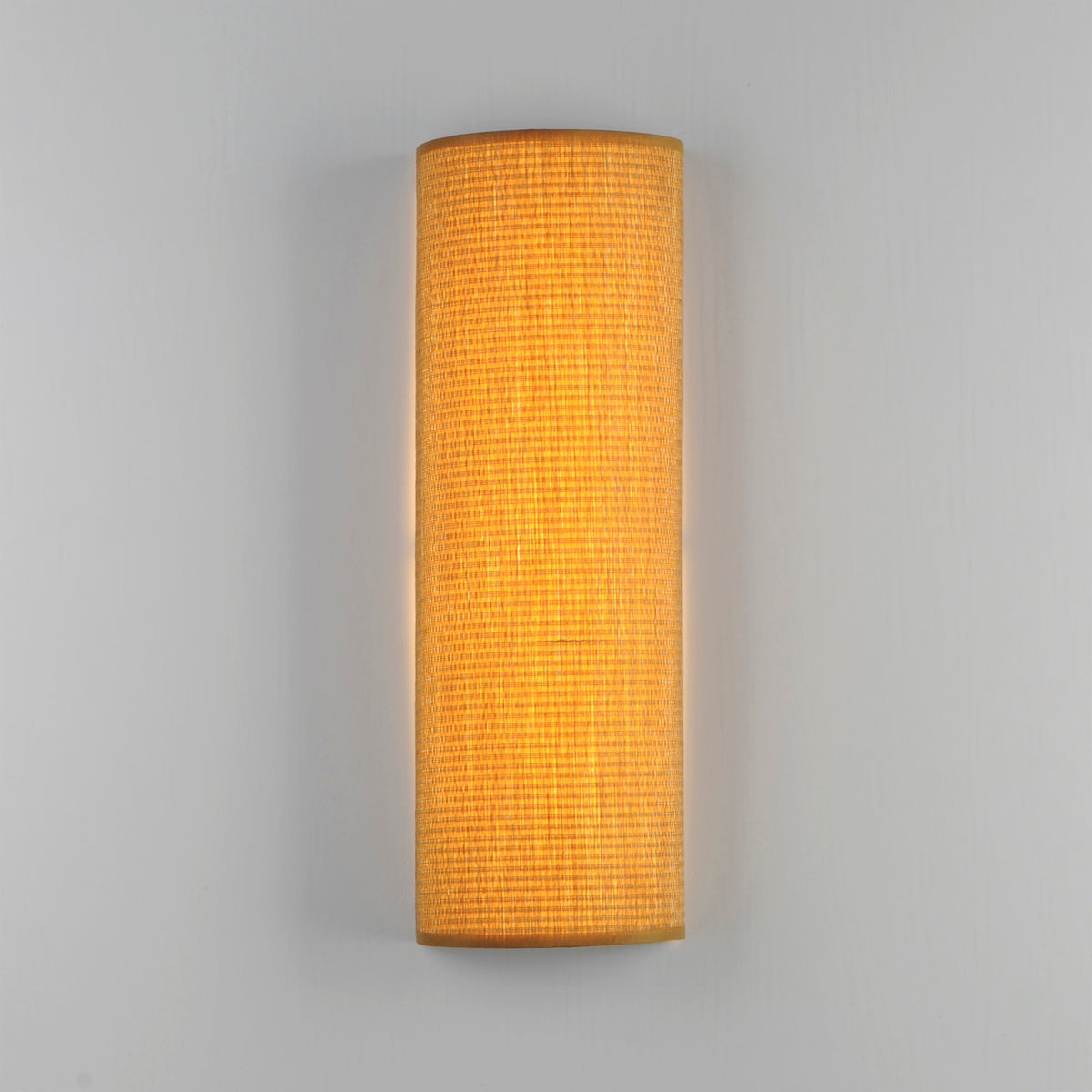 Prime 18" Tall LED Sconce 120-277 UNV Dim