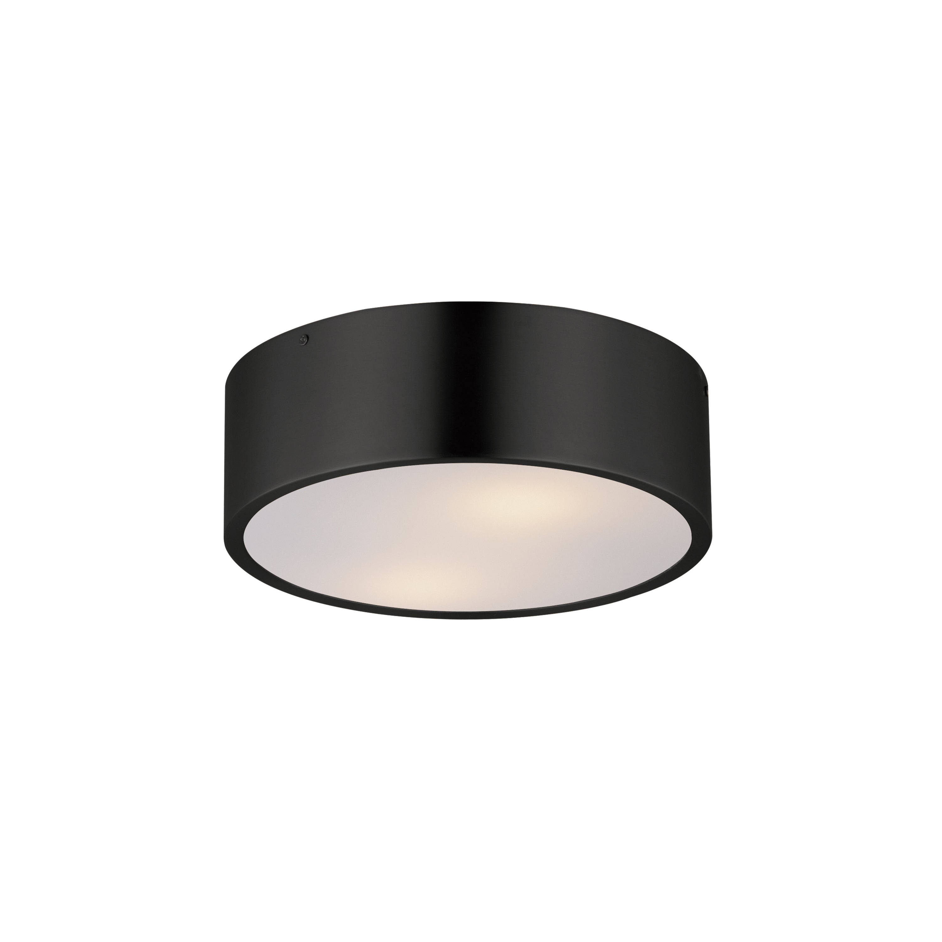 Tommy 12"  2-Light Surface Mount