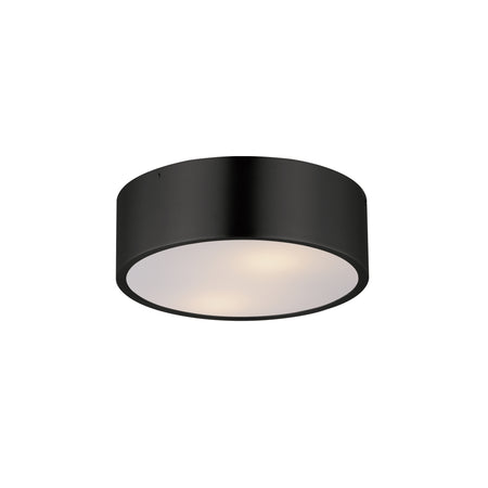 Tommy 12"  2-Light Surface Mount