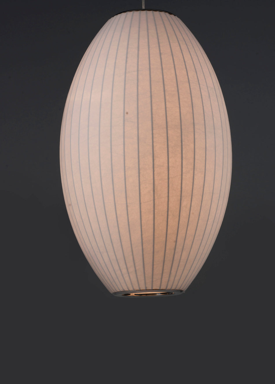 Cocoon 1-Light Pendant