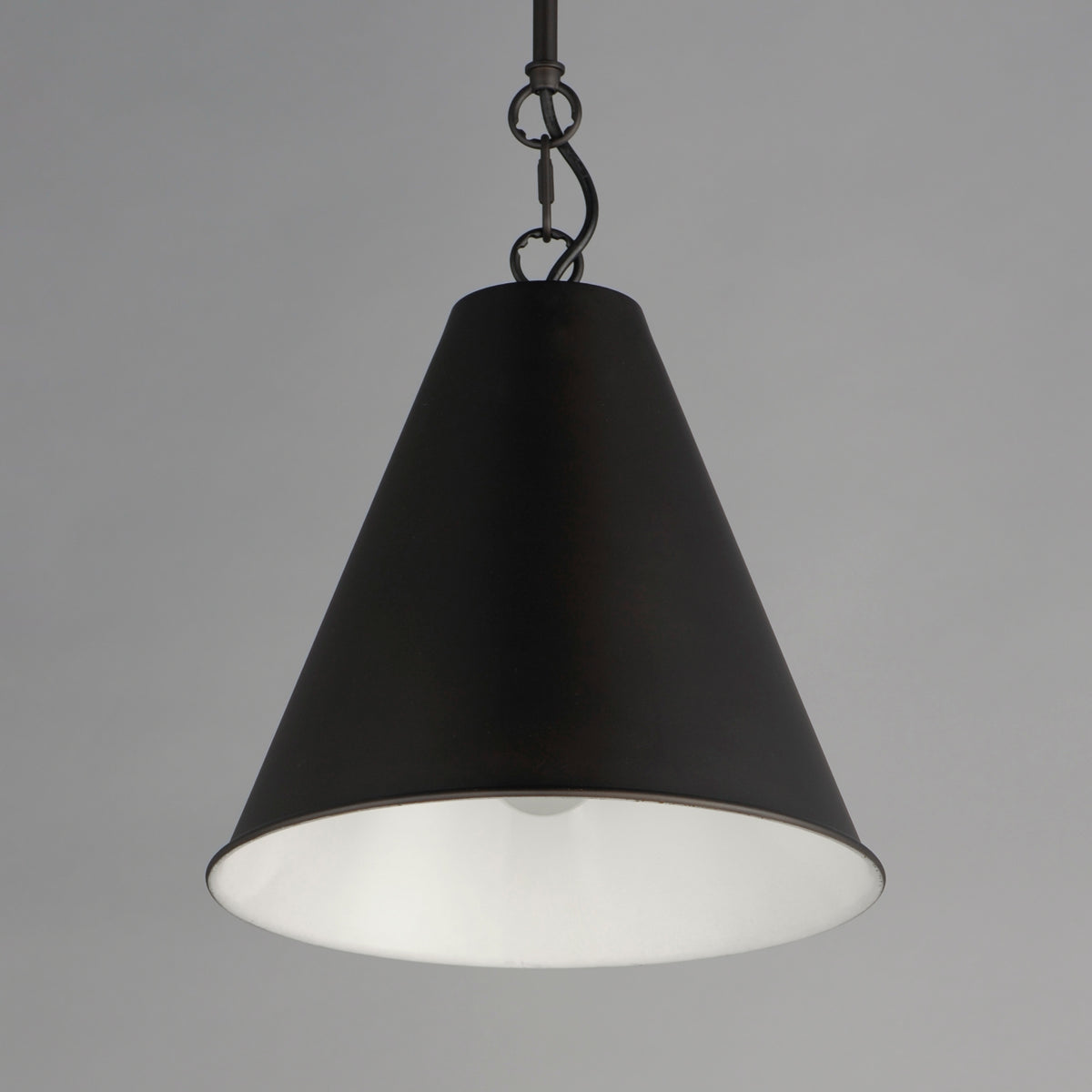 Veritas 12" 1-Light Pendant