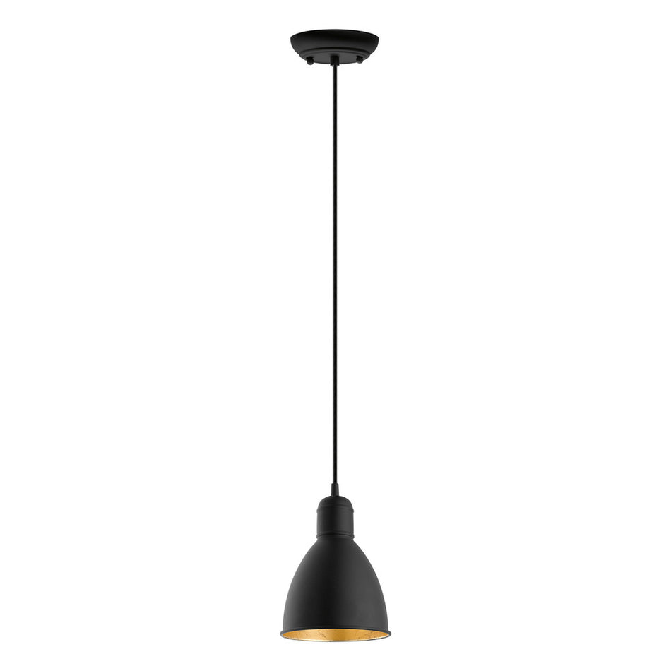1L Pendant Light / Luminaire suspendu 1L