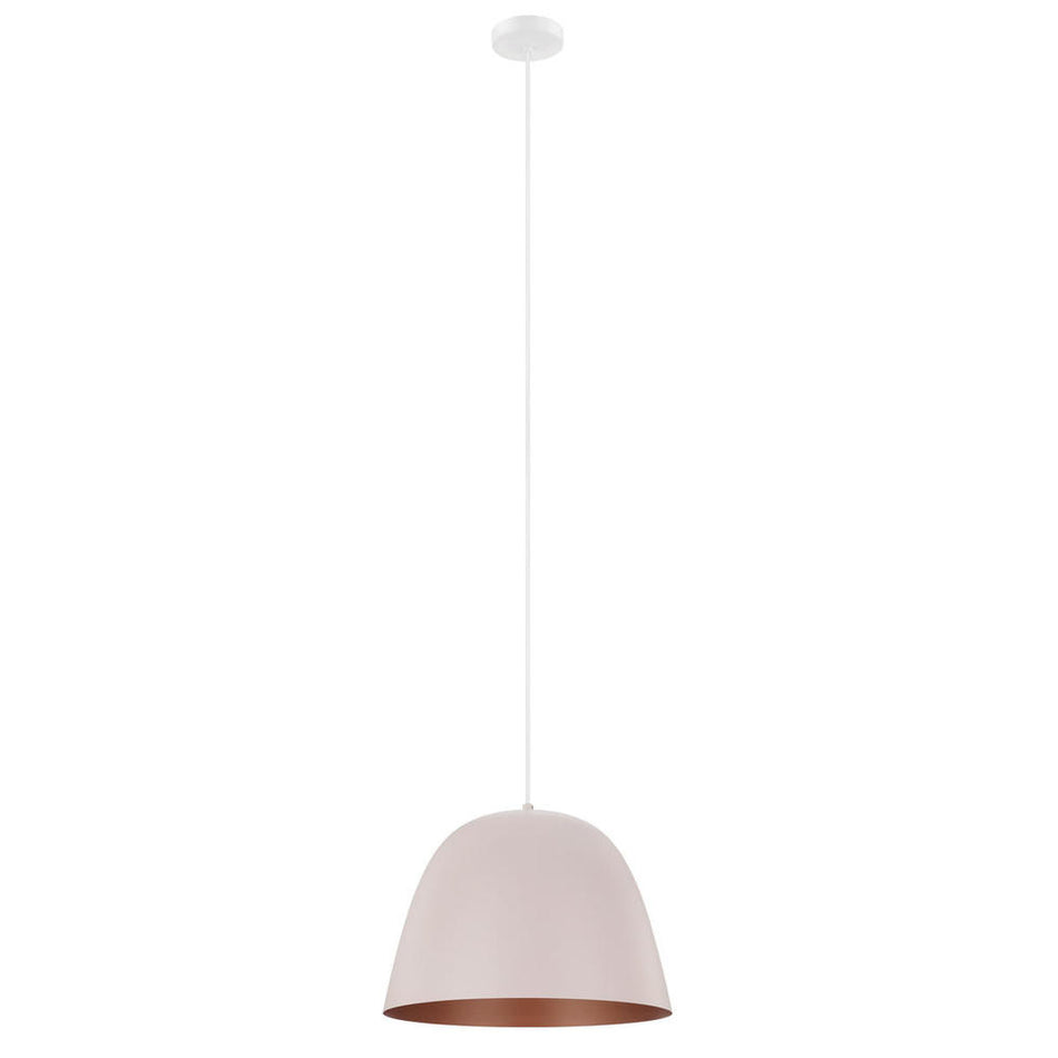 1L Pendant Light / Luminaire suspendu 1L
