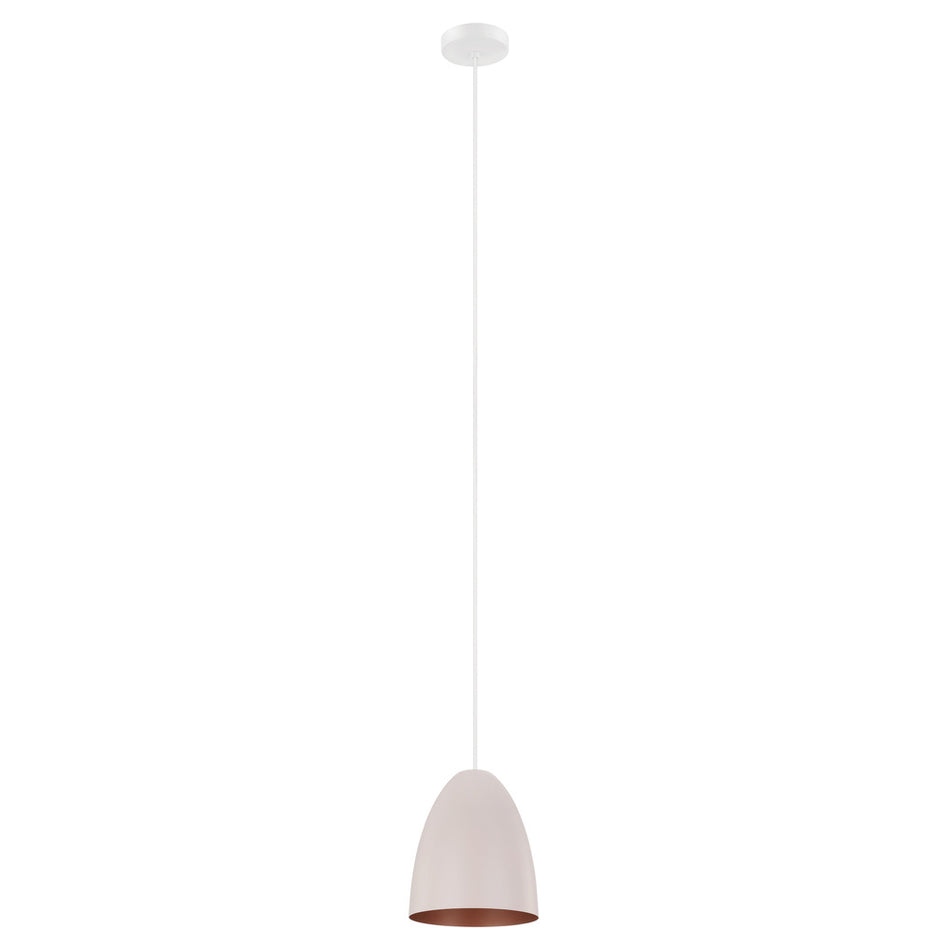 1L Pendant Light / Luminaire suspendu 1L