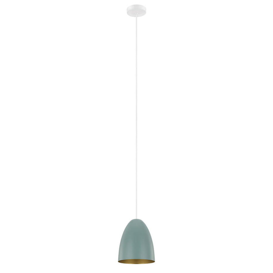1L Pendant Light / Luminaire suspendu 1L