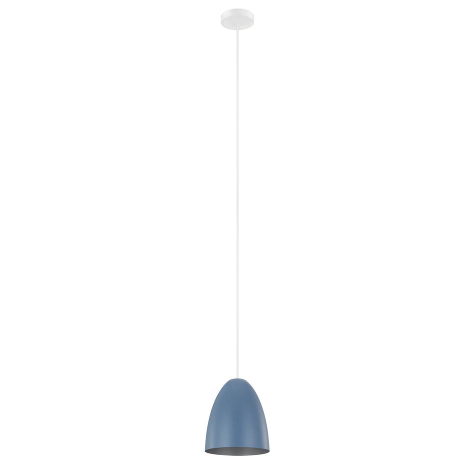 1L Pendant Light / Luminaire suspendu 1L