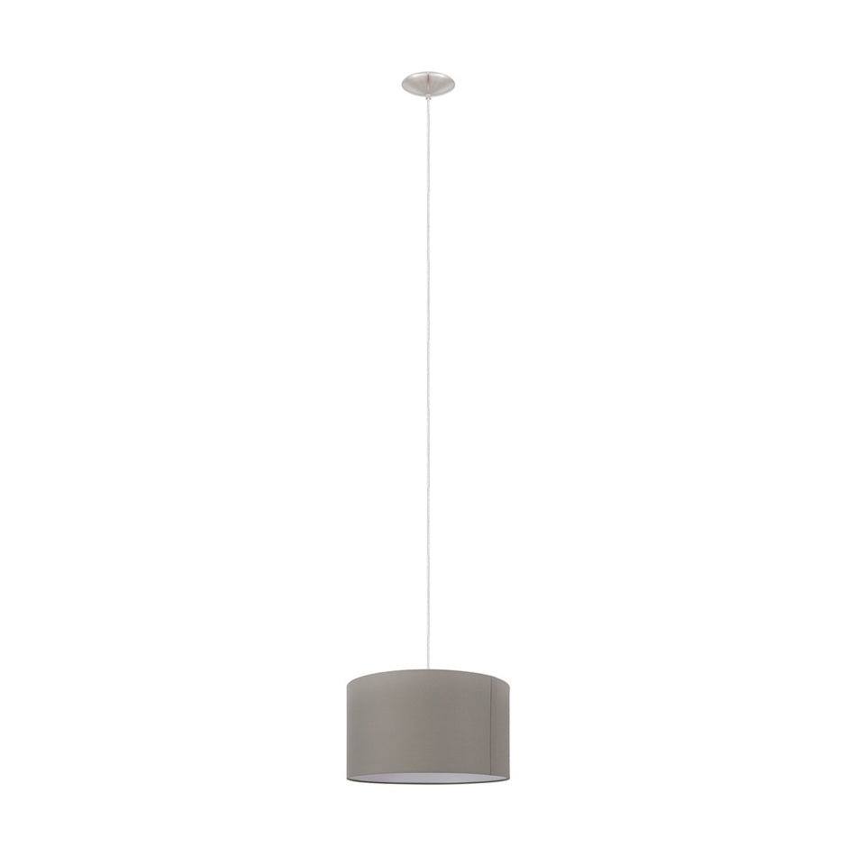 1L Pendant Light / Luminaire suspendu 1L