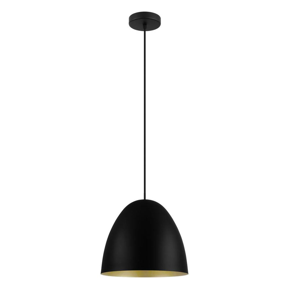 1L Pendant Light / Luminaire suspendu 1L