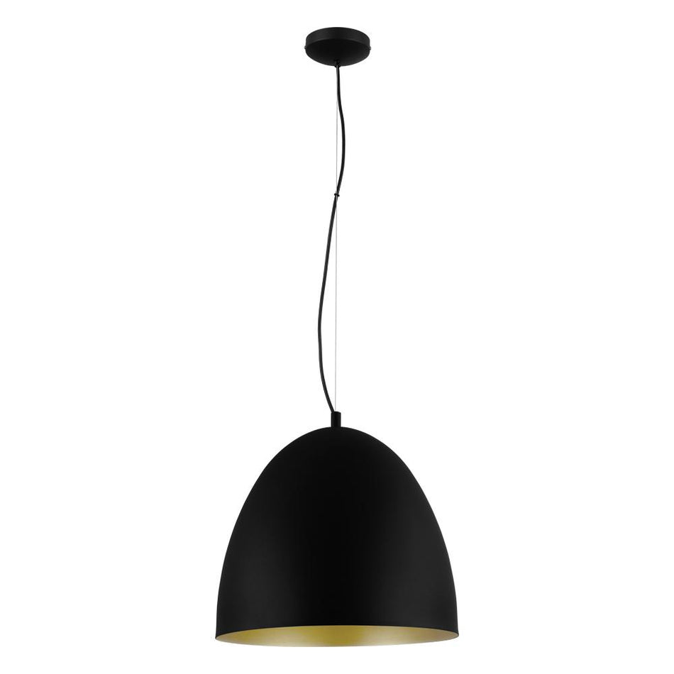 1L Pendant Light / Luminaire suspendu 1L