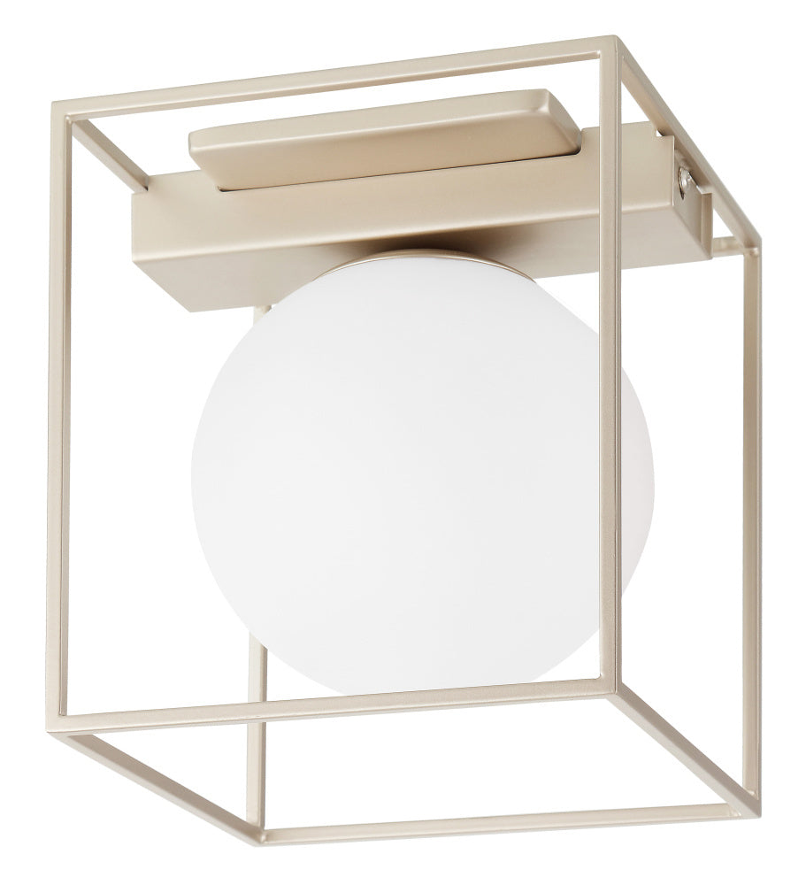 1L Ceiling Light / Plafonnier 1L