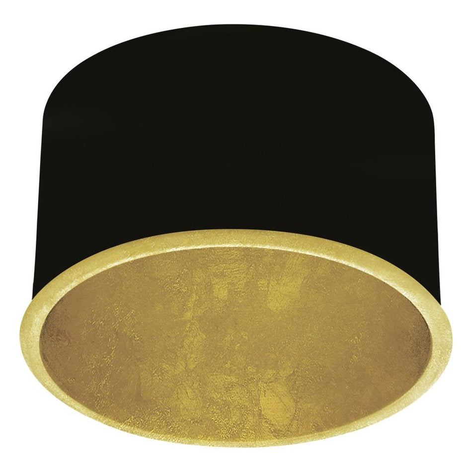 GU10 Baffle / Deflecteur GU10