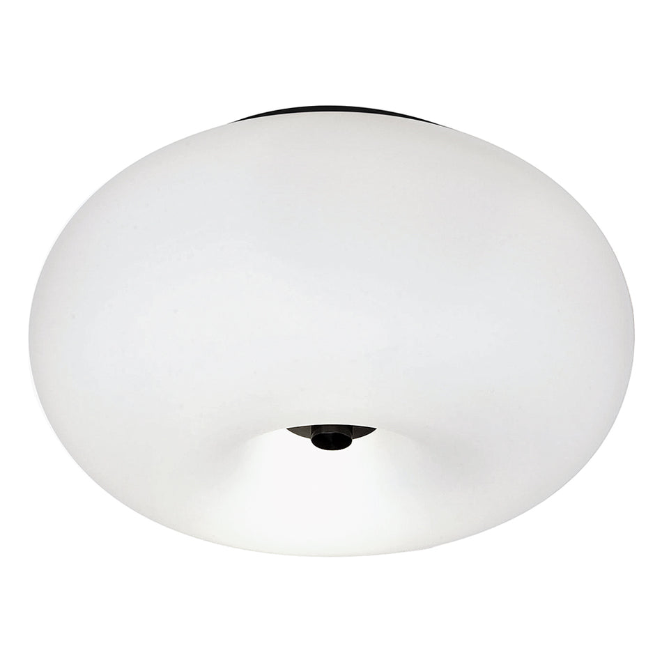 2L Ceiling Light / Plafonnier 2L