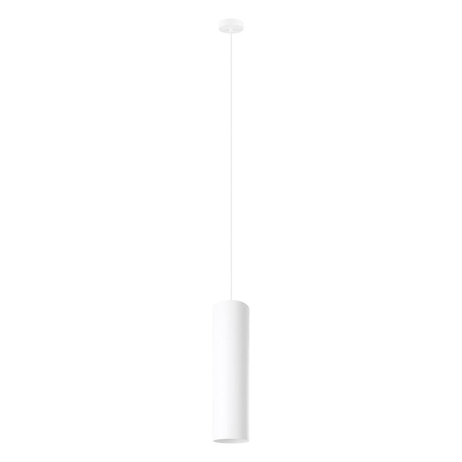 1L Pendant Light / Luminaire suspendu 1L
