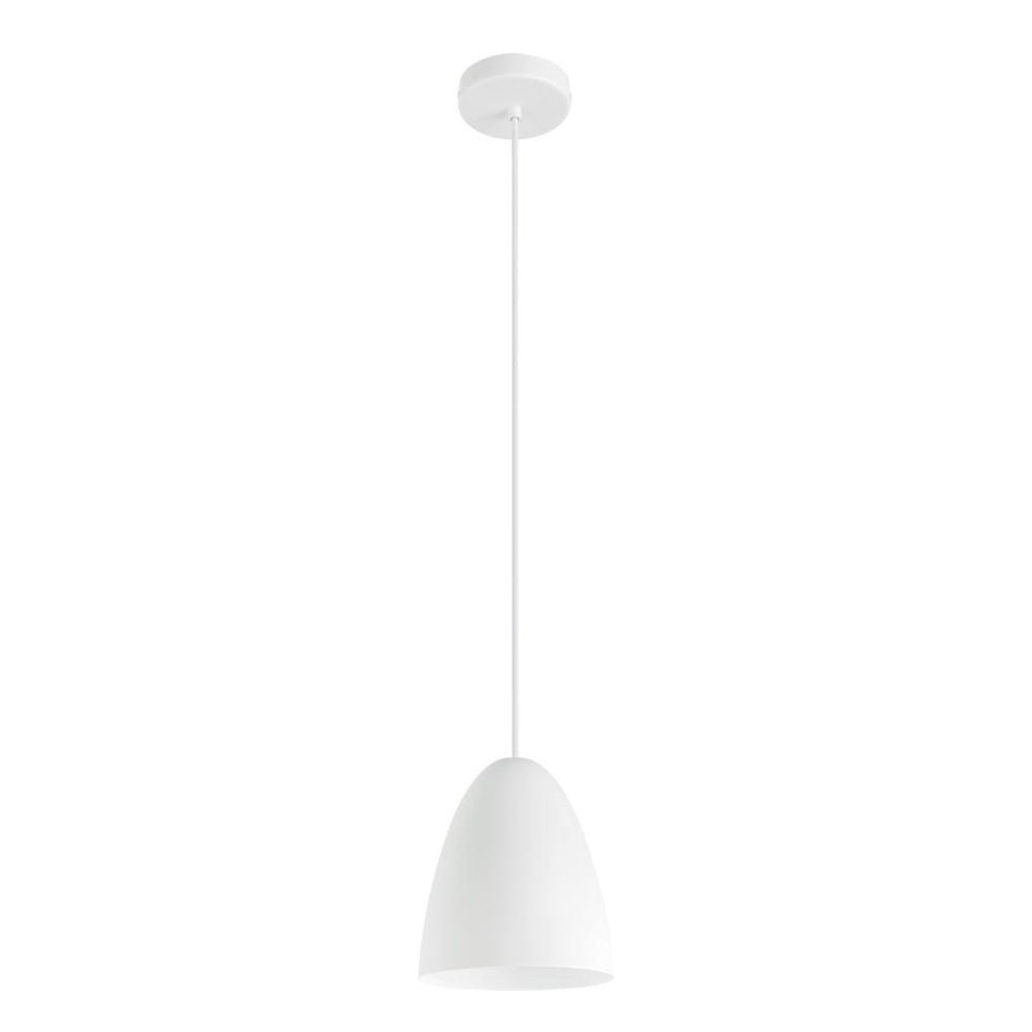 1L Pendant Light / Luminaire suspendu 1L