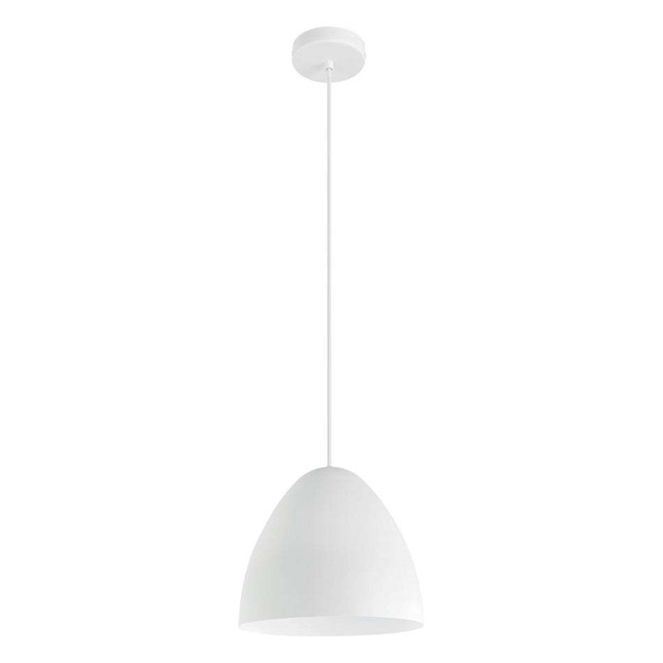 1L Pendant Light / Luminaire suspendu 1L