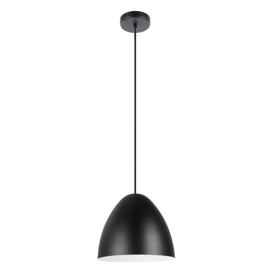 1L Pendant Light / Luminaire suspendu 1L