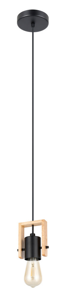 1L Pendant Light / Luminaire suspendu 1L