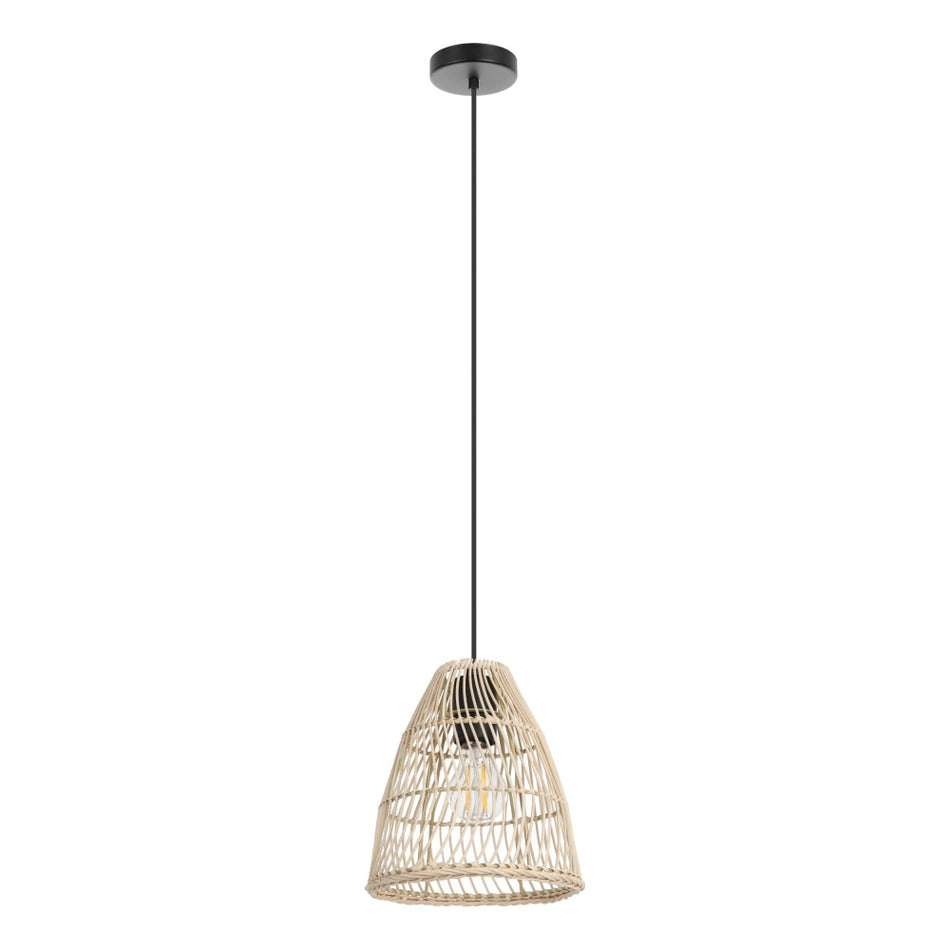 1L Pendant / Luminaire suspendu 1L