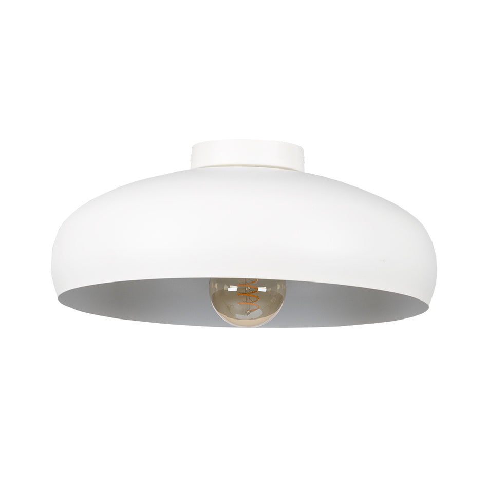 1L Ceiling Light / Plafonnier 1L