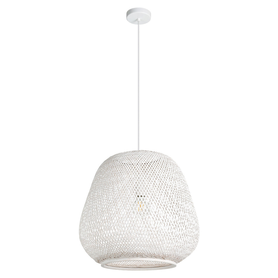 1L Pendant Light / Luminaire suspendu 1L
