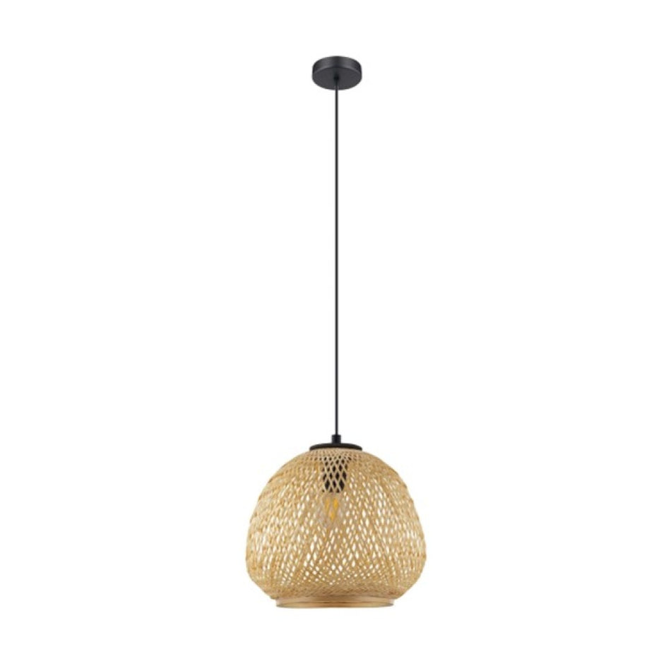 1L Pendant Light / Luminaire suspendu 1L