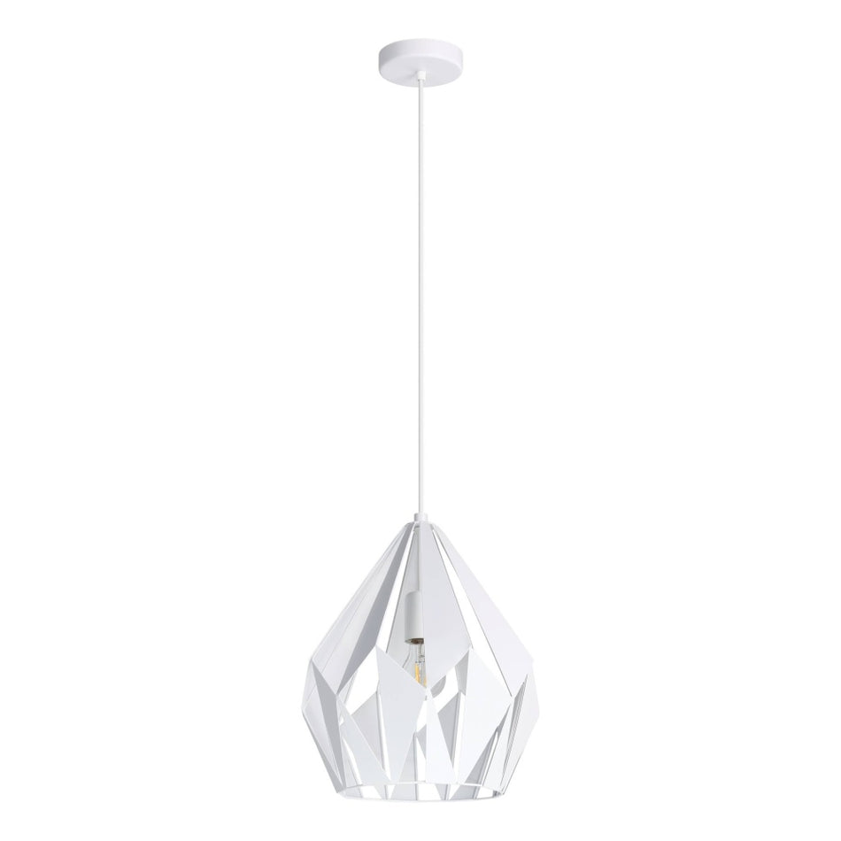 1L Pendant Light / Luminaire suspendu 1L