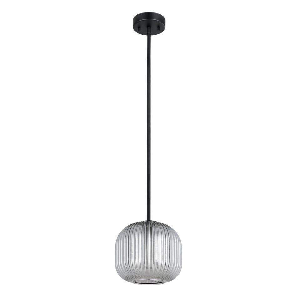 1L Pendant Light / Luminaire suspendu 1L