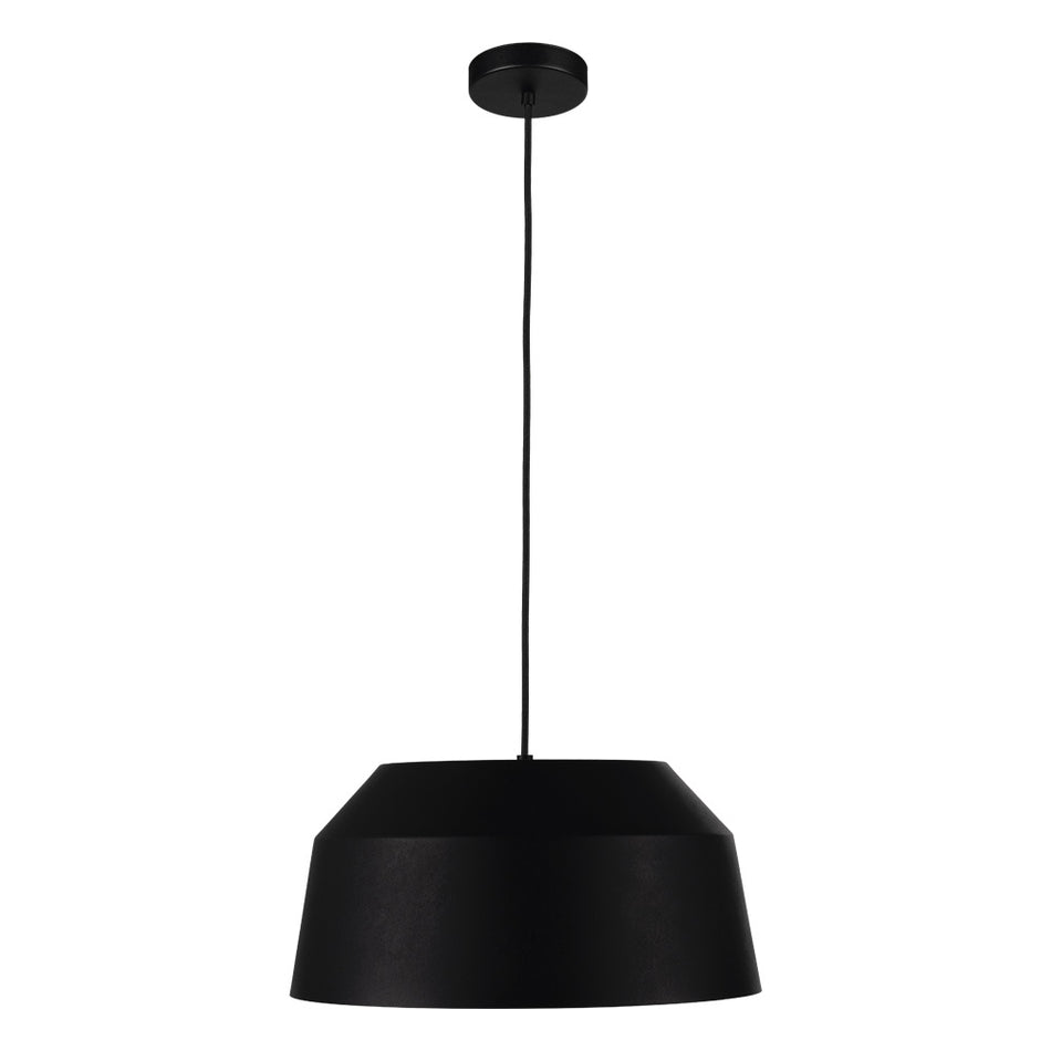 1L Pendant Light / Luminaire suspendu 1L