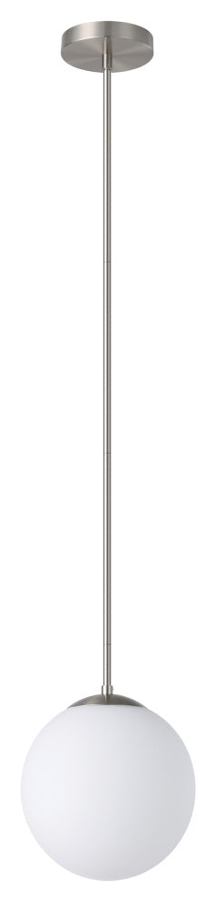 1L Pendant Light / Luminaire suspendu 1L