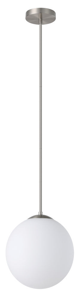 1L Pendant Light / Luminaire suspendu 1L