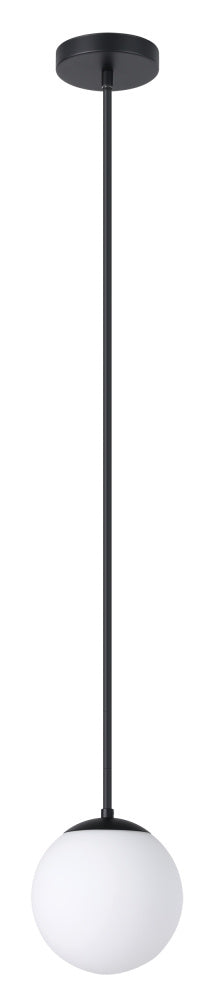 1L Pendant Light / Luminaire suspendu 1L