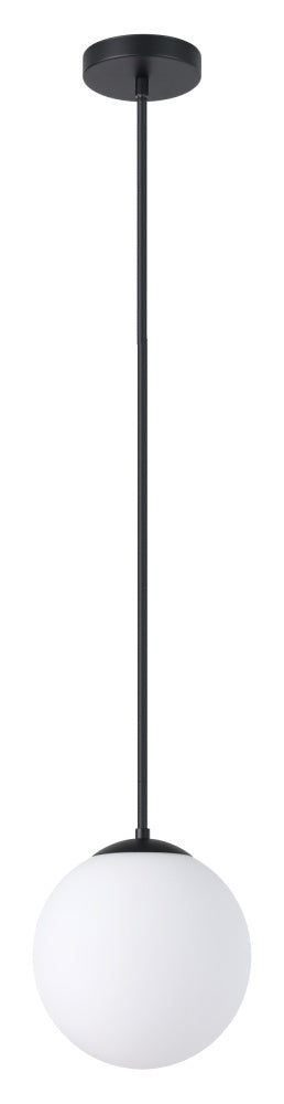 1L Pendant Light / Luminaire suspendu 1L