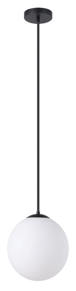 1L Pendant Light / Luminaire suspendu 1L