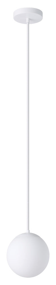 1L Pendant Light / Luminaire suspendu 1L