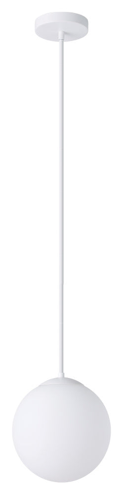 1L Pendant Light / Luminaire suspendu 1L