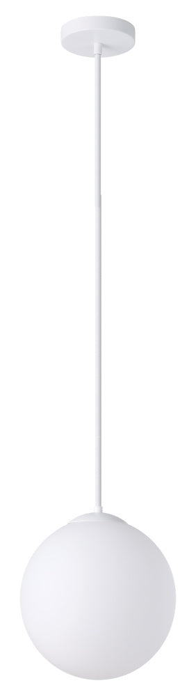 1L Pendant Light / Luminaire suspendu 1L