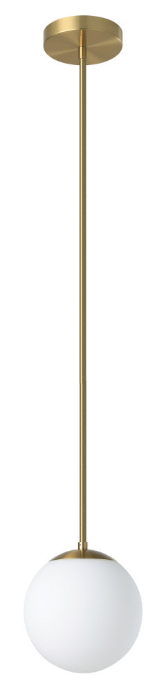 1L Pendant Light / Luminaire suspendu 1L