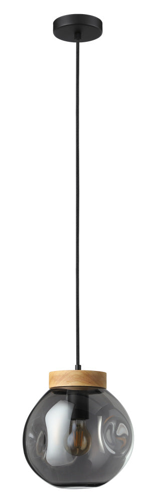 1L Pendant Light / Luminaire suspendu 1L