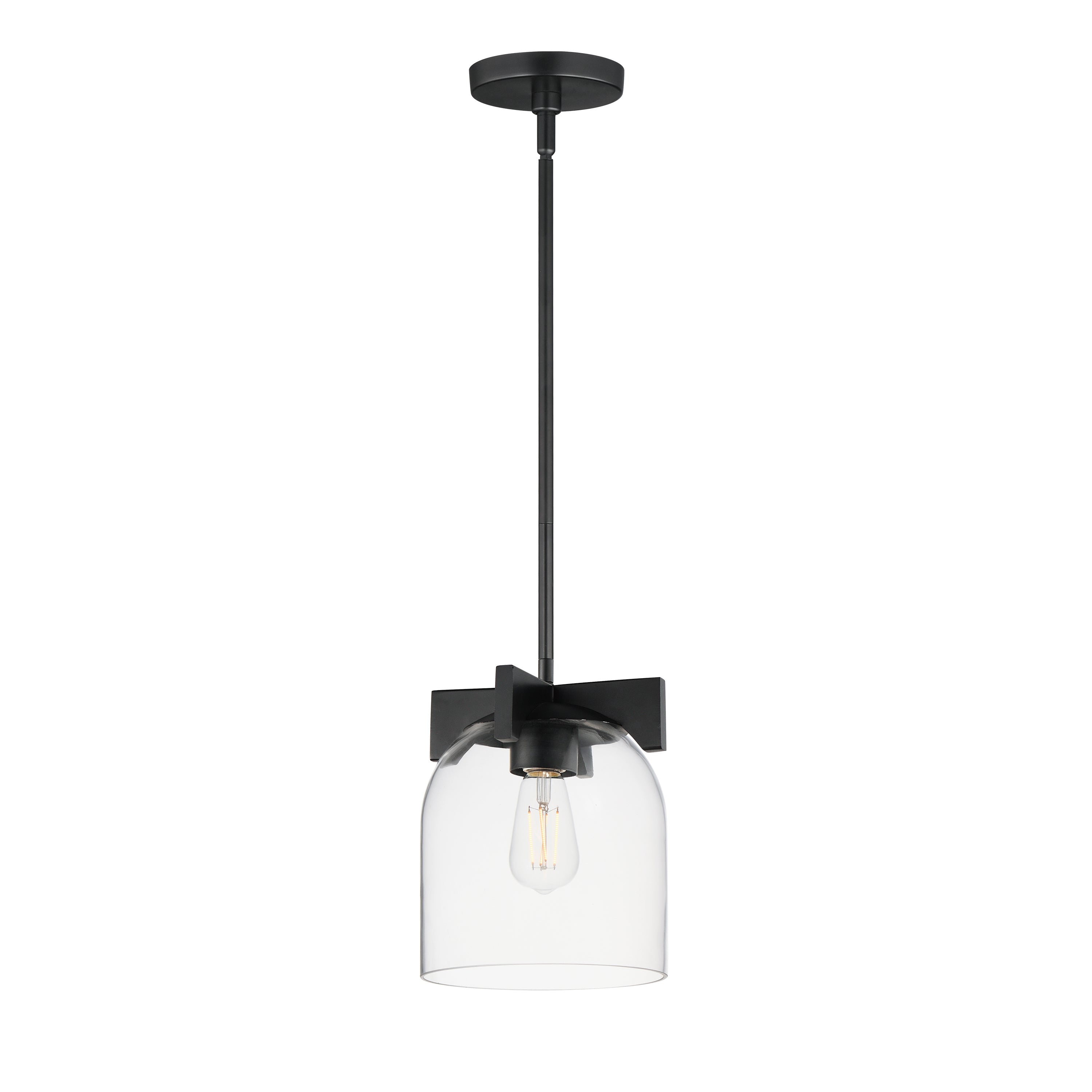 Scoop 1-Light Pendant/Flush Mount