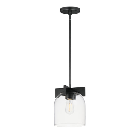 Scoop 1-Light Pendant/Flush Mount