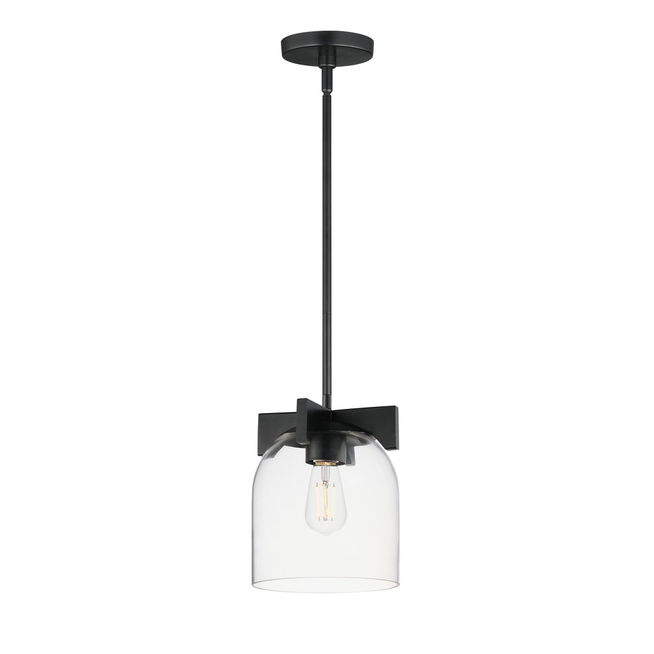 Scoop 1-Light Pendant/Flush Mount