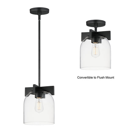 Scoop 1-Light Pendant/Flush Mount