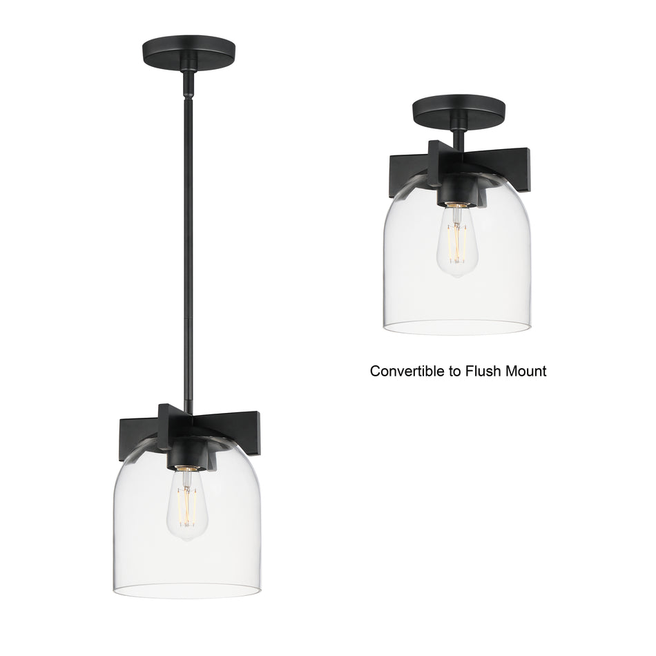 Scoop 1-Light Pendant/Flush Mount