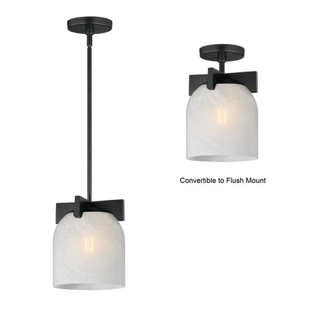 Scoop 1-Light Pendant/Flush Mount