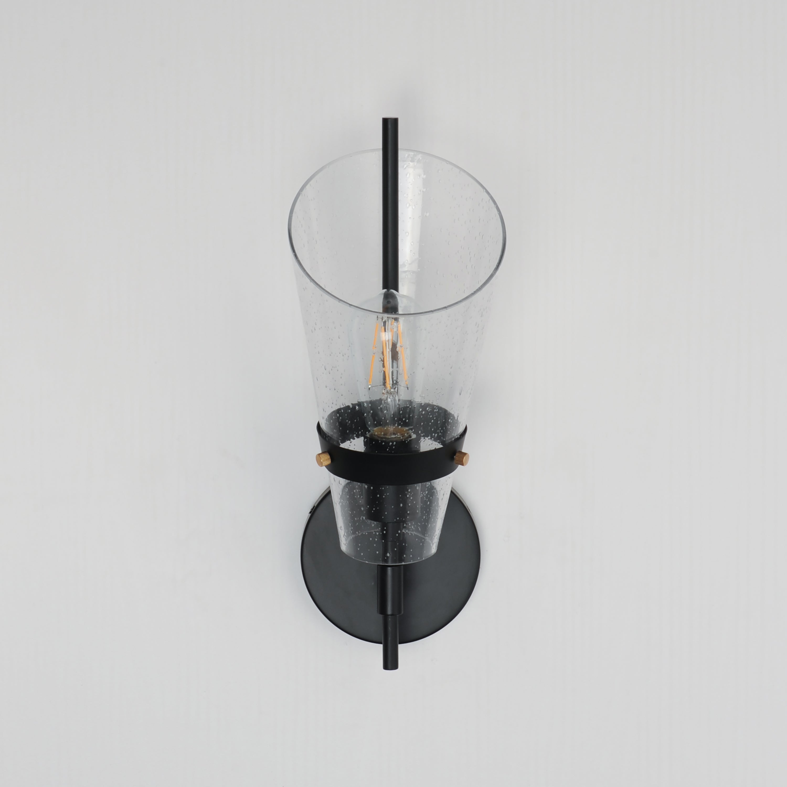 Finch 1-Light Wall Sconce